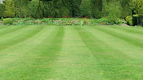 Turfing work we have worked on